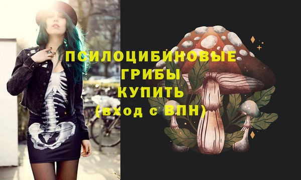 jwh Абаза