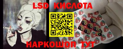 apvp Новодвинск
