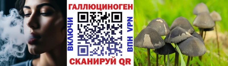 купить закладку  Торжок  Псилоцибиновые грибы мухоморы 