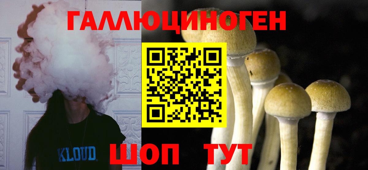 Галлюциногенные грибы MAGIC MUSHROOMS Торжок